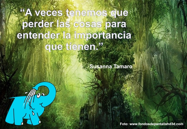 Una Enseñanza de Susanna Tamaro sobre Lo Importante, en La Frase del Día del Centro de lavado de coches Elefante Azul Avilés